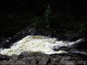 imgp0880.jpg